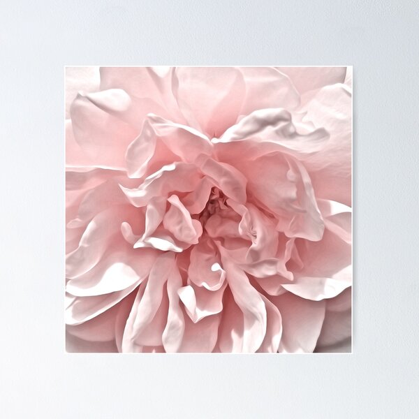 Item preview, Pink Blush Rose designed and sold by LaurenWDesigns.