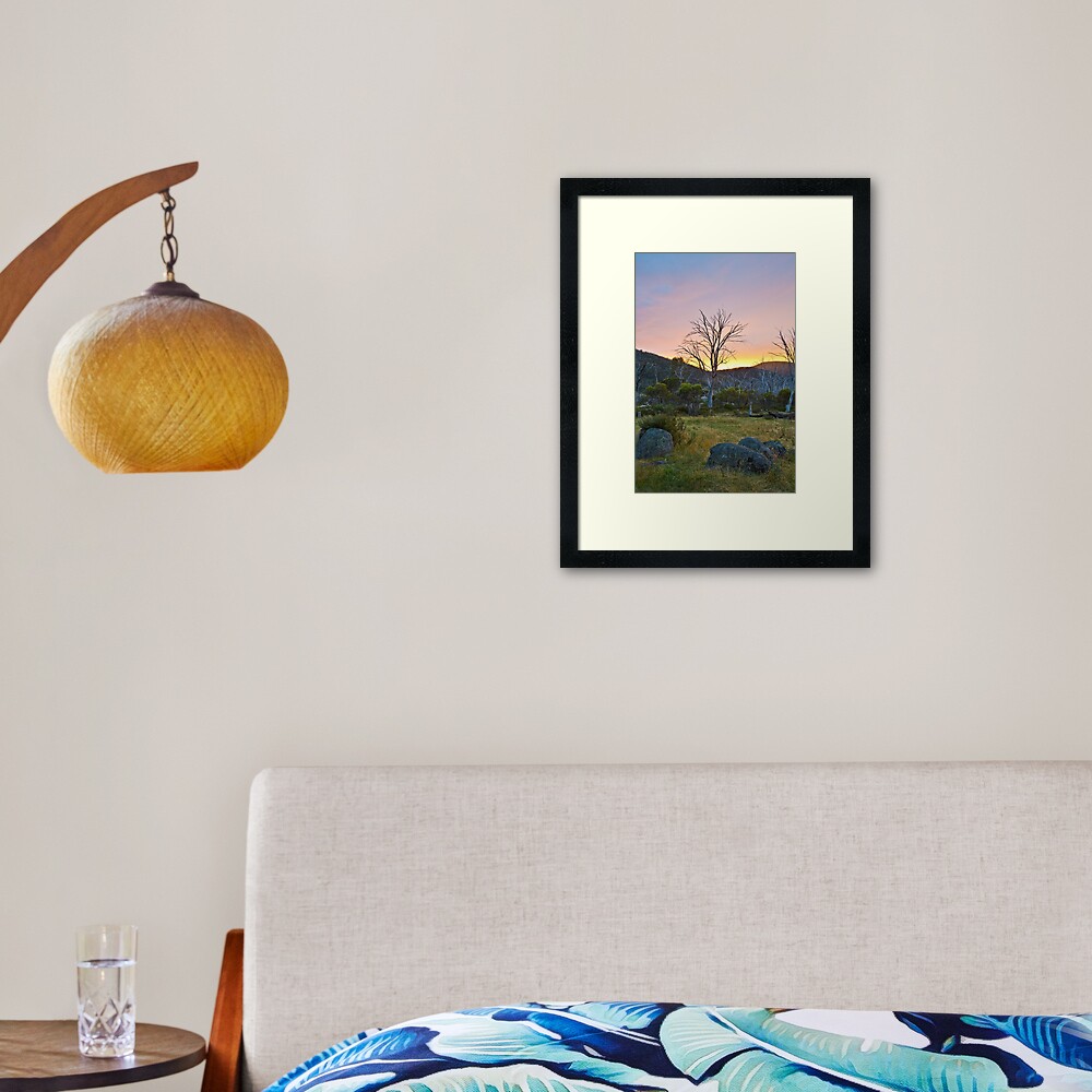 Morning Framed Art Print