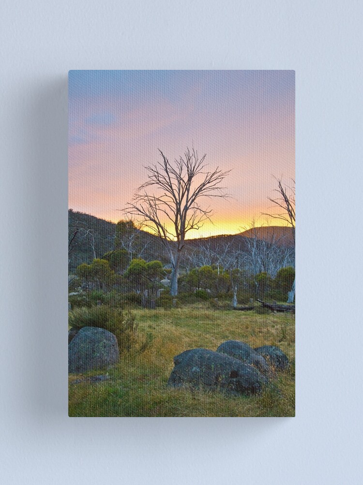 Alternate view of Morning Canvas Print