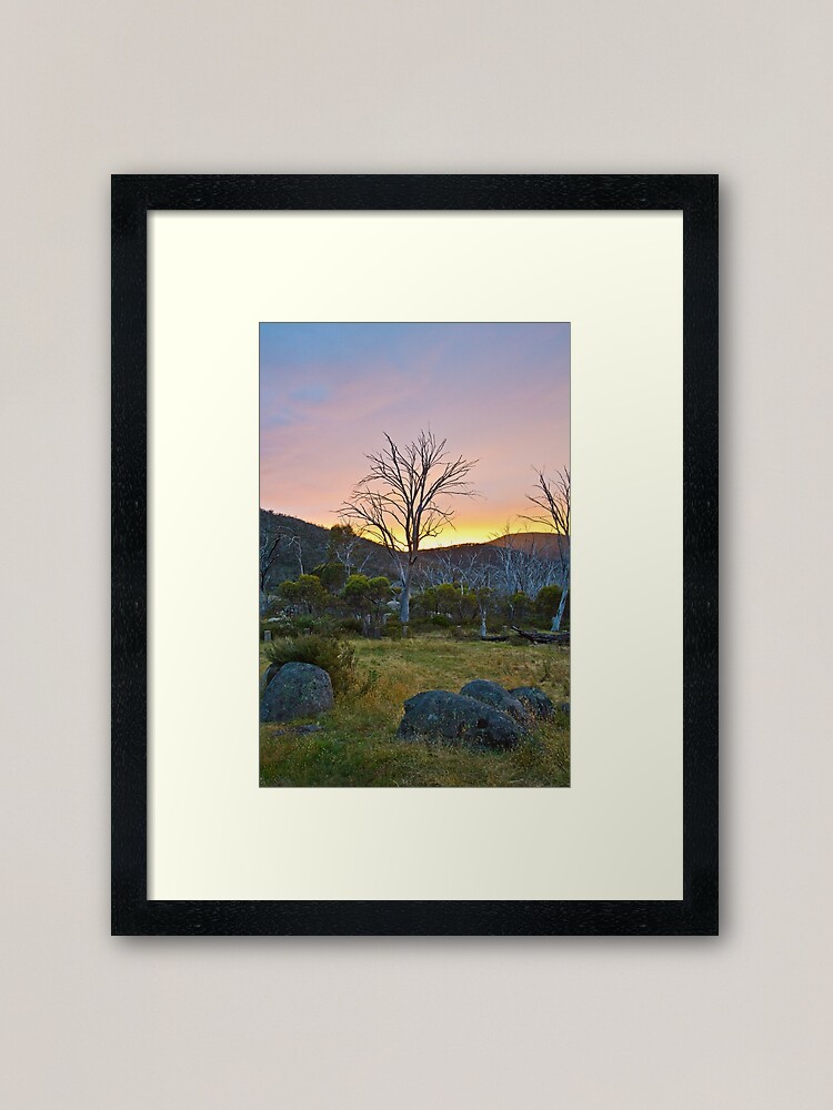 Alternate view of Morning Framed Art Print