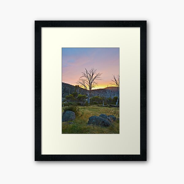 Morning Framed Art Print