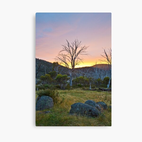 Morning Canvas Print