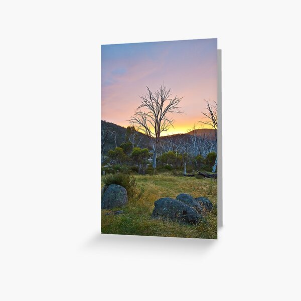 Morning Greeting Card