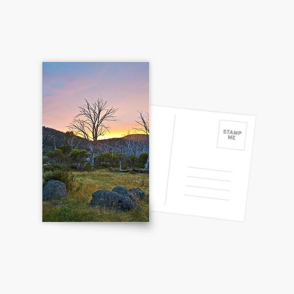 Morning Postcard