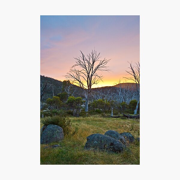 Morning Photographic Print