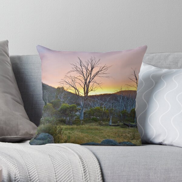 Morning Throw Pillow