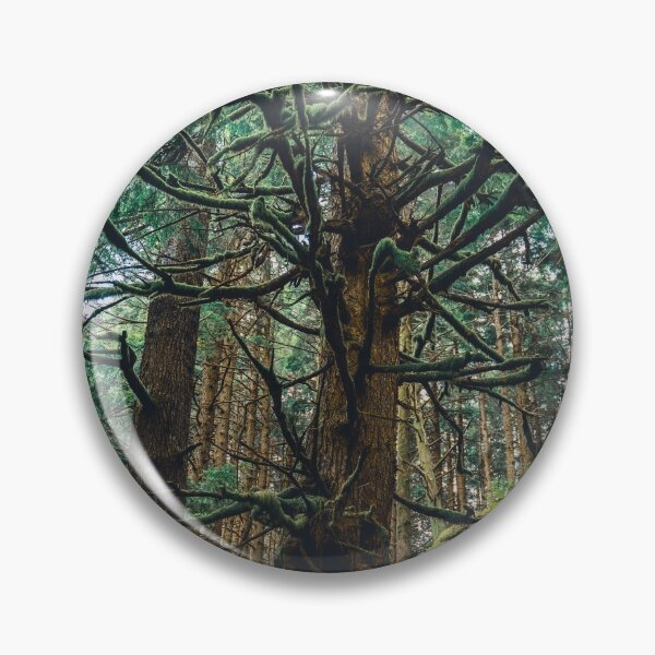 Item preview, Evergreen designed and sold by Abandonedwhale3.