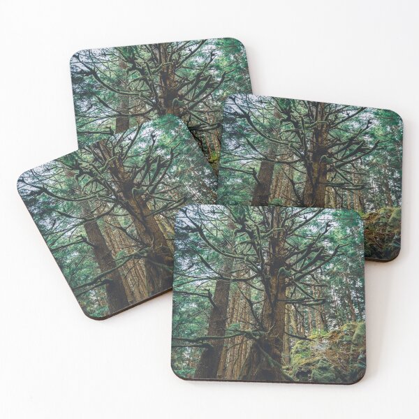 Item preview, Evergreen designed and sold by Abandonedwhale3.