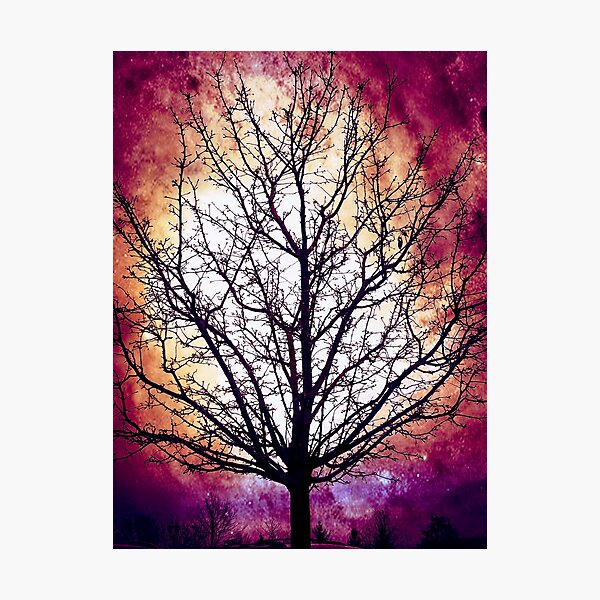 Aperçu de l'œuvre Mon arbre de rêve mystique créée et vendue par SXW Designs.