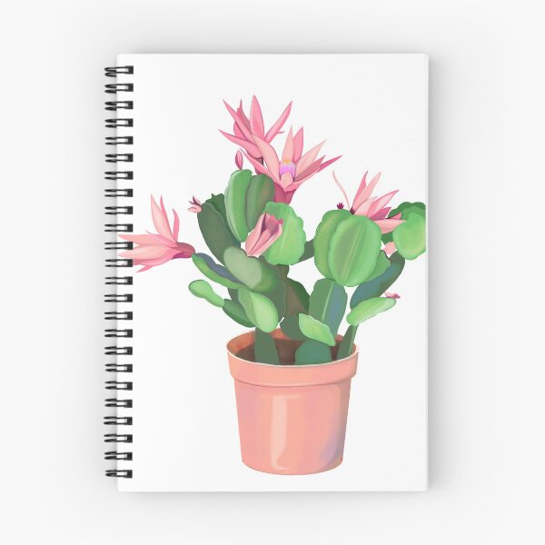Aperçu de l'œuvre Plante d'intérieur de cactus de Noël isolé créée et vendue par HersCreative.