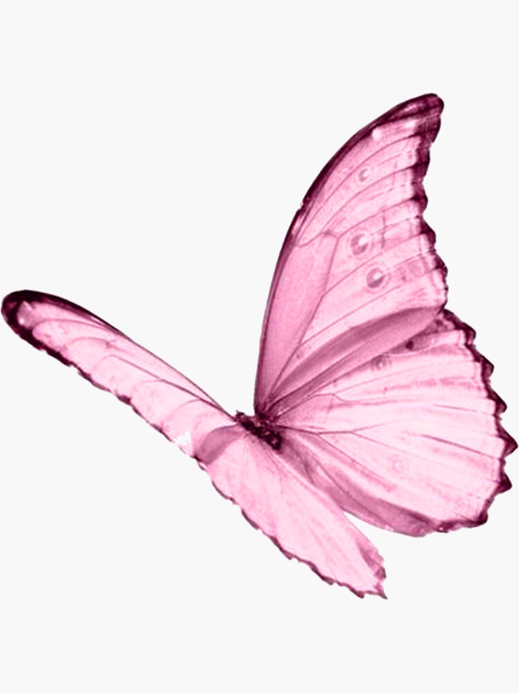 Pink Glittery Butterfly Sticker for Sale by cinlali