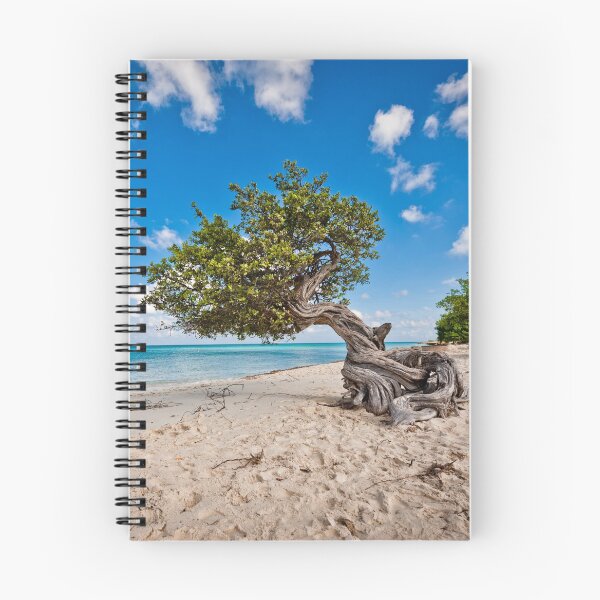 Item preview, Aruba tree designed and sold by Cialli.