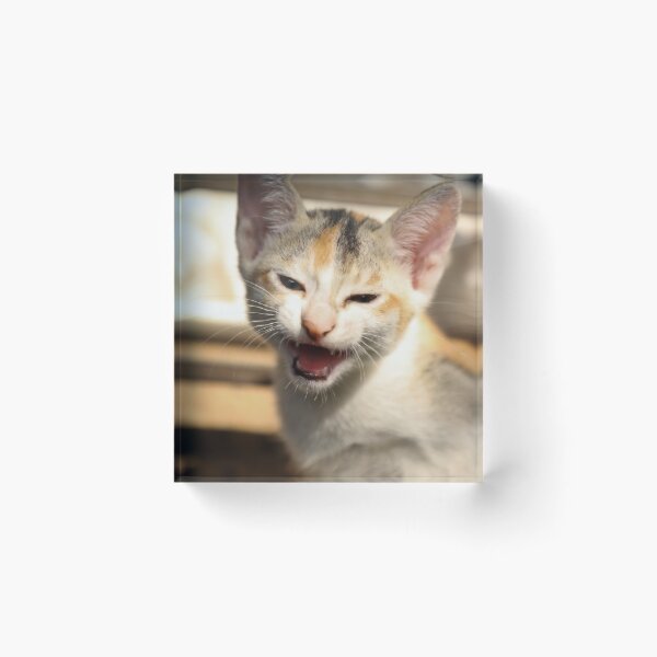 Item preview, A cute roaring kitten that looks like a lion designed and sold by FCEalin.