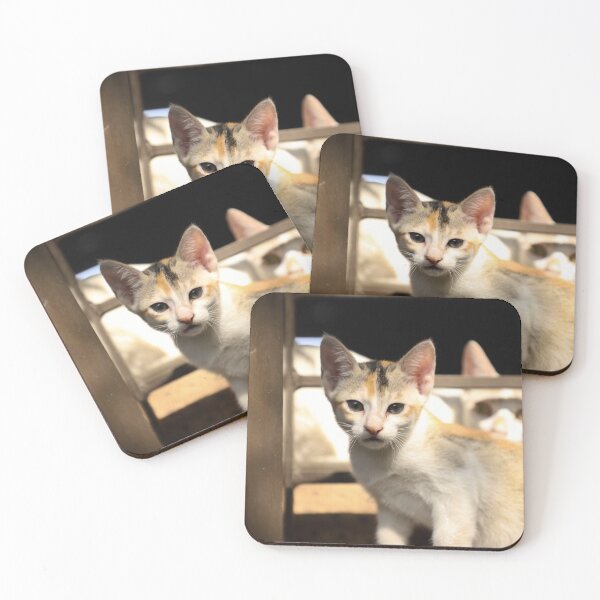 Item preview, A kitten looking at the camera and the mother cat standing behind the child designed and sold by FCEalin.