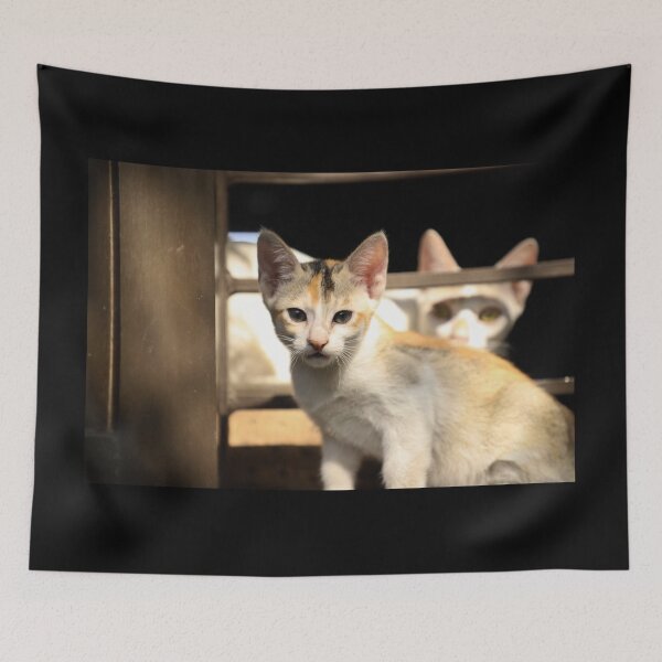 Item preview, A kitten looking at the camera and the mother cat standing behind the child designed and sold by FCEalin.