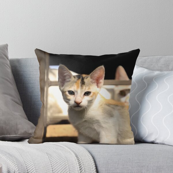 Item preview, A kitten looking at the camera and the mother cat standing behind the child designed and sold by FCEalin.