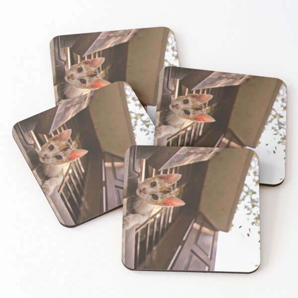 Item preview, A kitten looking out of the window of a home strait toward the camera designed and sold by FCEalin.