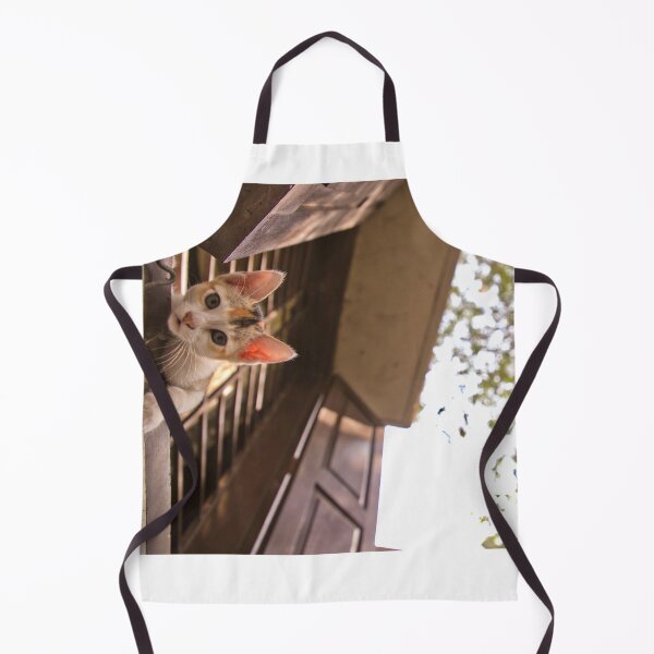 Item preview, A kitten looking out of the window of a home strait toward the camera designed and sold by FCEalin.