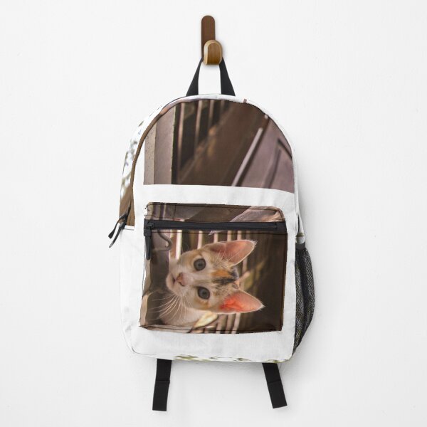 Item preview, A kitten looking out of the window of a home strait toward the camera designed and sold by FCEalin.