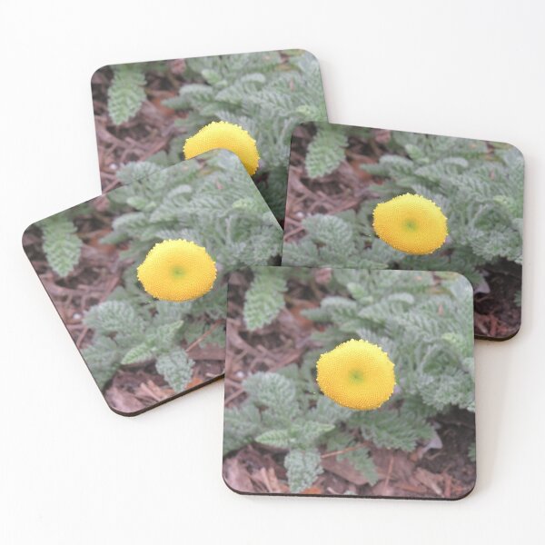 Item preview, Yellow cotula flower designed and sold by greentiger1.