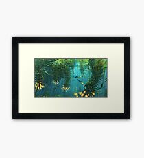 Exploring the Kelp Forest Framed Print