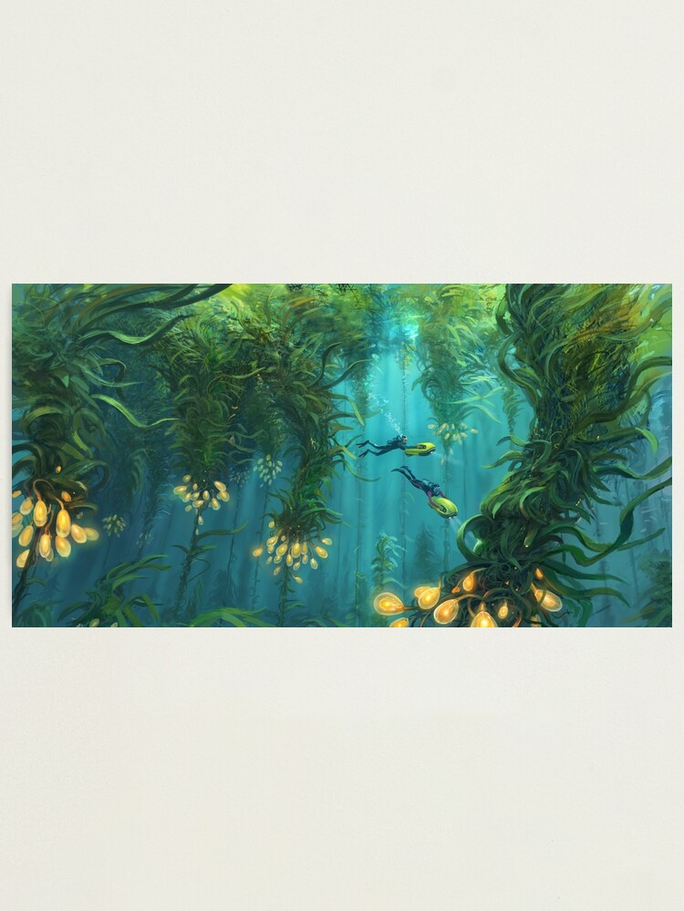 Thumbnail 2 of 3, Photographic Print, Exploring the Kelp Forest designed and sold by UnknownWorlds.