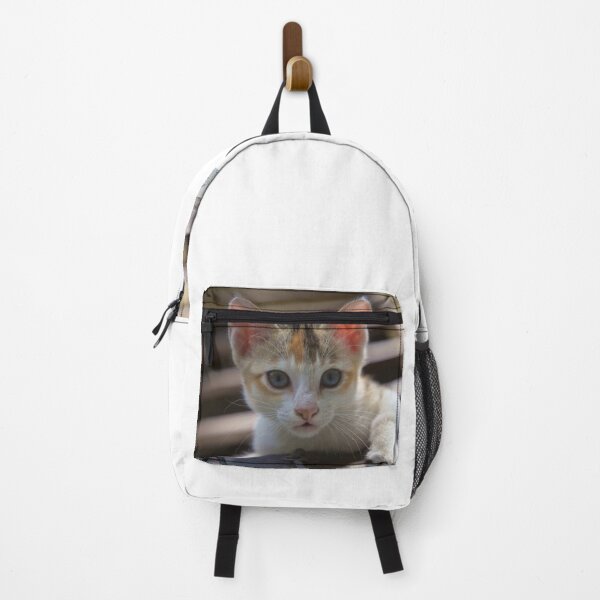 Item preview, A cute kitten looking strait at the camera from the house window designed and sold by FCEalin.
