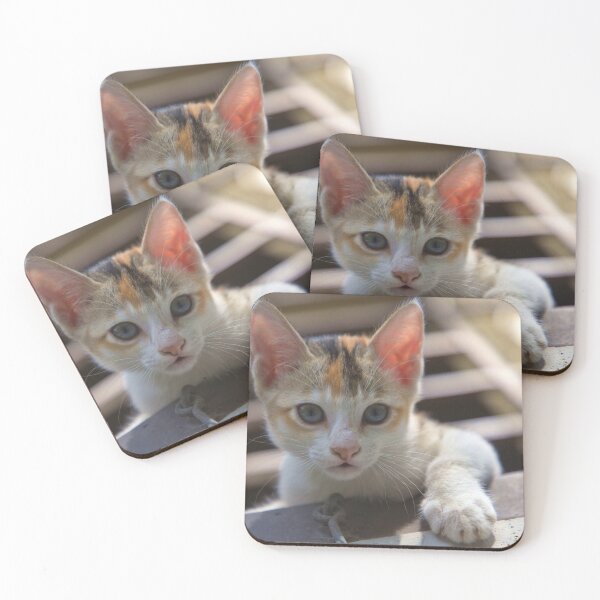 Item preview, A cute kitten looking strait at the camera from the house window designed and sold by FCEalin.