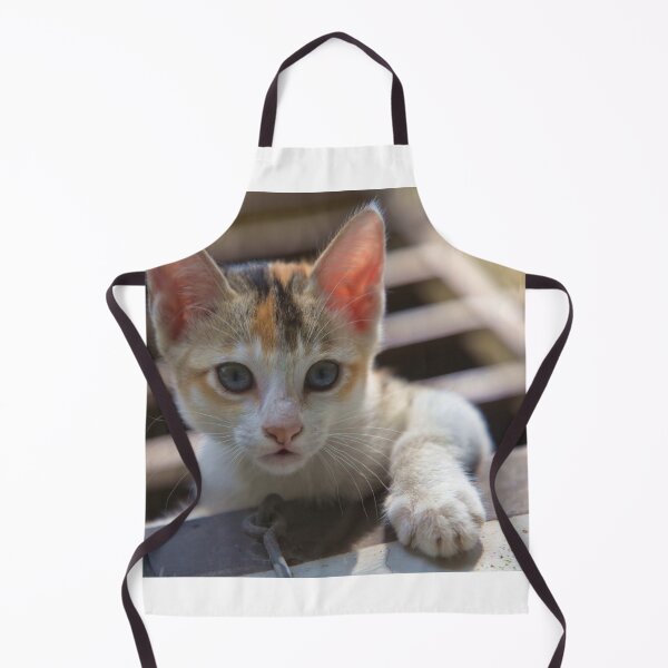 Item preview, A cute kitten looking strait at the camera from the house window designed and sold by FCEalin.