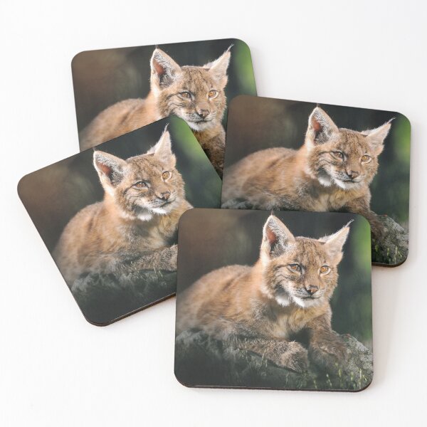 Item preview,   eurasian lynx canvas, eurasian lynx, animal, animals,  eurasian lynx wall art,  eurasian lynx artwork, wild, eurasian lynx art,  eurasian lynx painting designed and sold by eyesight4vision.
