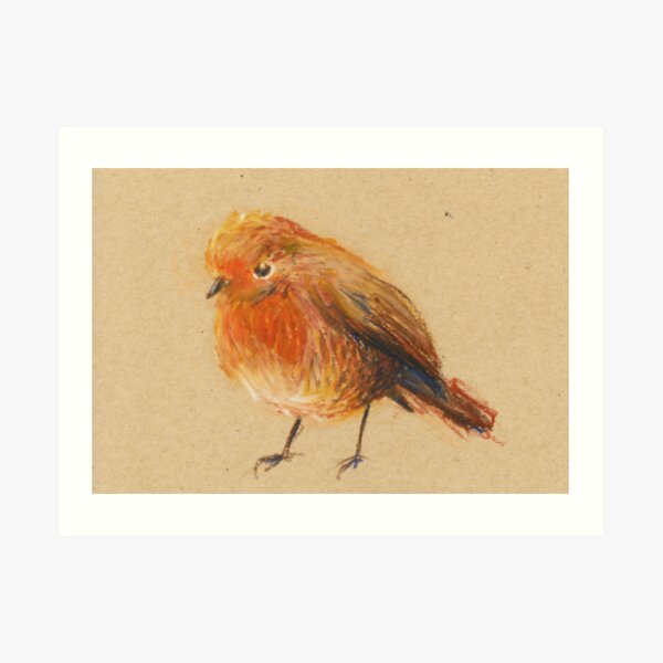 Robin Art Print