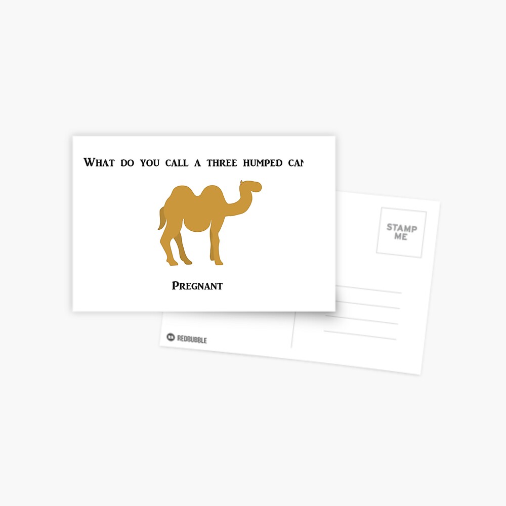 What Do You Call A Three Humped Camel Greeting Card By Artsyivy Redbubble