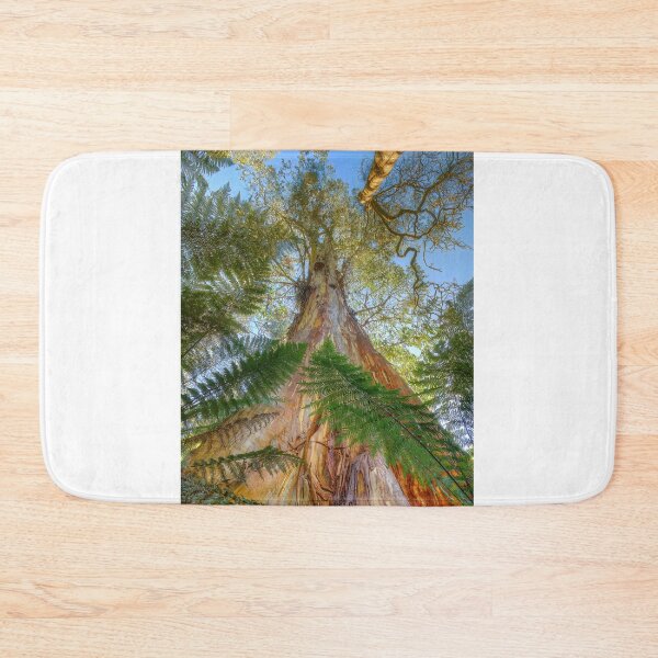 Item preview, Shining Gum, Errinundra Plateau designed and sold by Kevin McGennan.