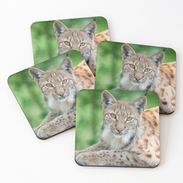 Item preview, eurasian lynx canvas, eurasian lynx, animal, animals,  eurasian lynx wall art,  eurasian lynx artwork, wild, eurasian lynx art,  eurasian lynx painting designed and sold by eyesight4vision.