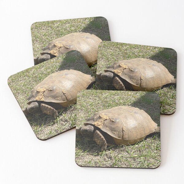 Item preview, Gopher Tortoise On Grass designed and sold by Sarah Tepe.