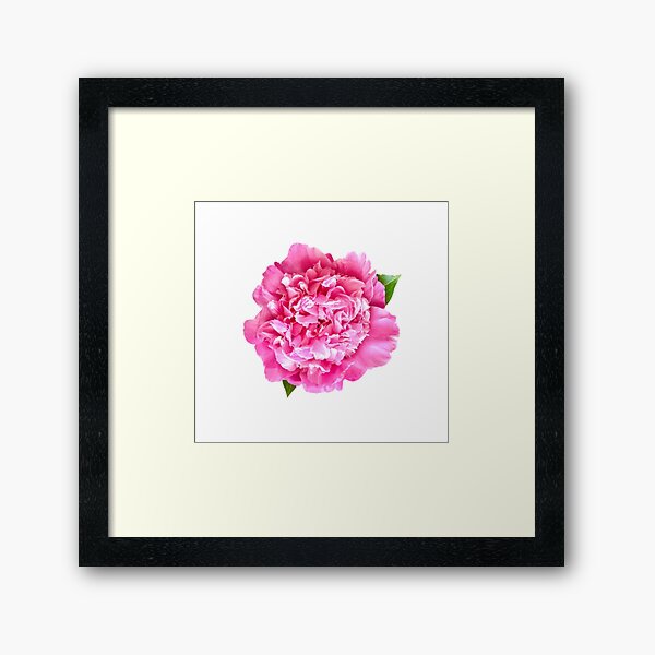 Item preview, Pink Peony Close-up designed and sold by InalterataArt.