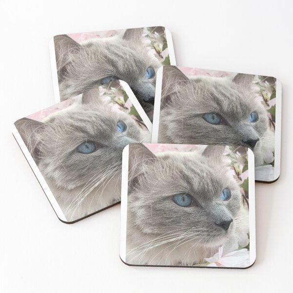 Item preview, Ragdoll cat Odin designed and sold by Fluffycat2020.