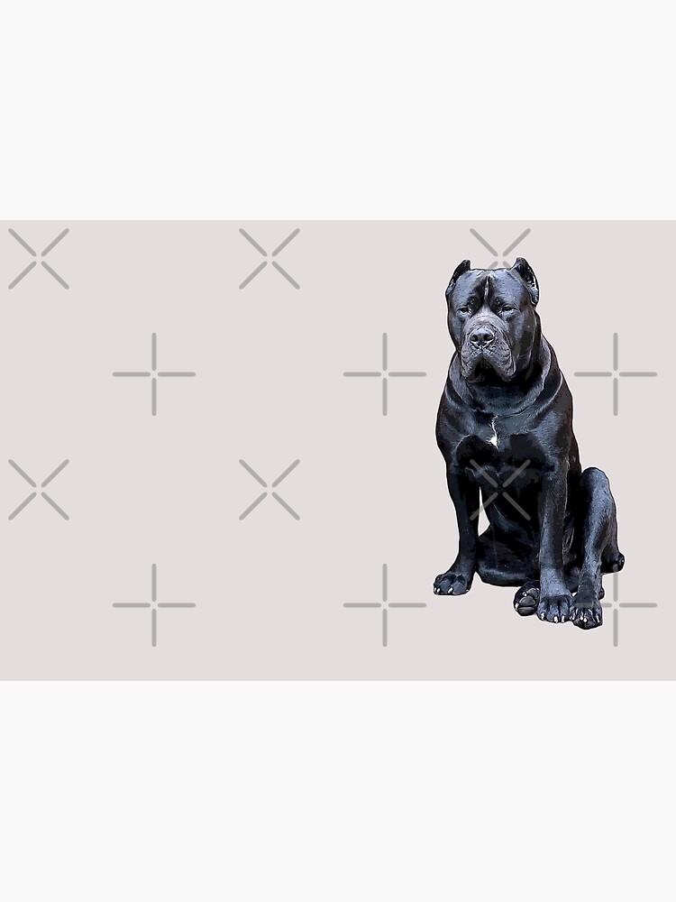  Cane Corso Impressie Guard Dog  Photographic Print