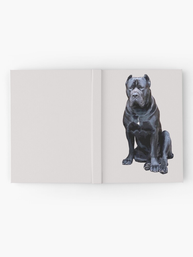  Cane Corso Impressie Guard Dog  Photographic Print