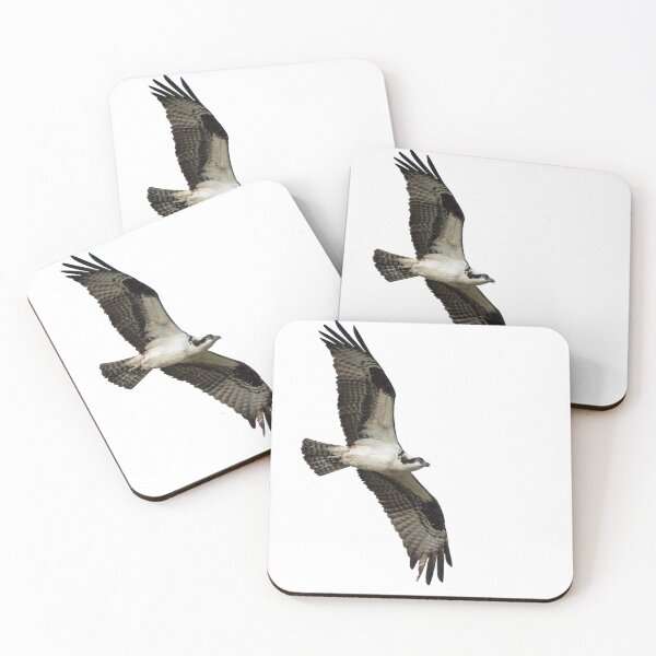 Item preview, Isolated Osprey 2021-1 designed and sold by Thomasyoung.
