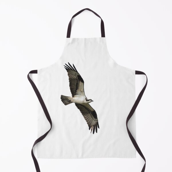 Item preview, Isolated Osprey 2021-1 designed and sold by Thomasyoung.