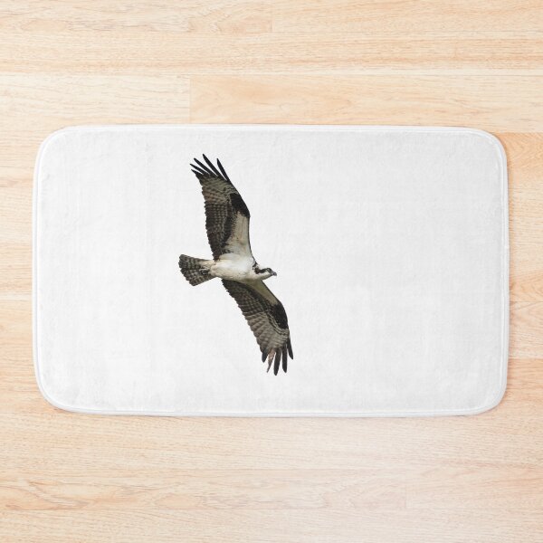 Item preview, Isolated Osprey 2021-1 designed and sold by Thomasyoung.