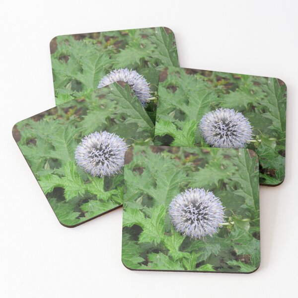 Item preview, Globe thistle designed and sold by greentiger1.
