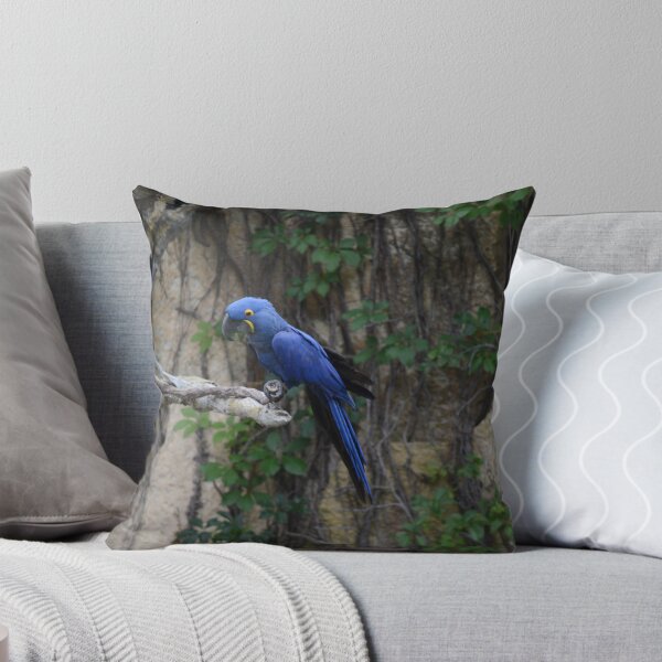 Aperçu de l'œuvre Blue Bird créée et vendue par thePhotoMaster.