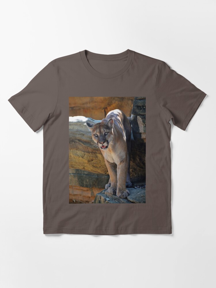 “Mountain Lion” T-shirt for Sale by venny | Redbubble | cougar t-shirts