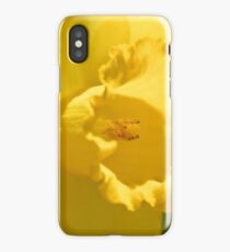 Daffodil iPhone Case/Skin