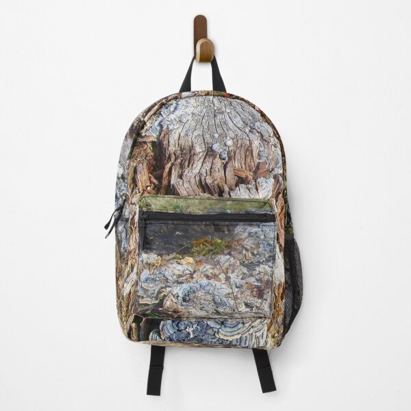 Item preview, 041921 Lichen on a tree stump.  designed and sold by Campbell Gallery.