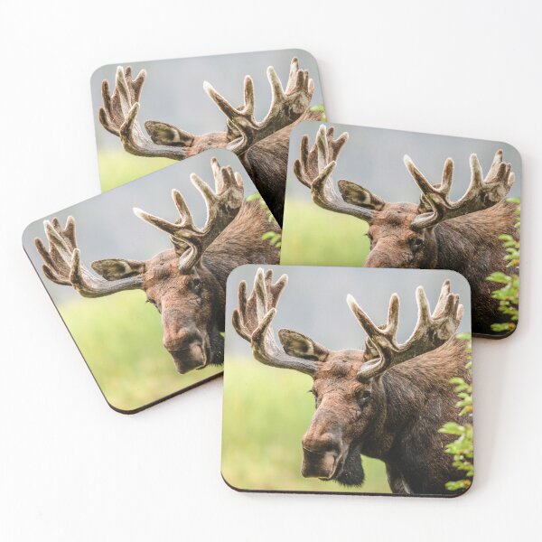 Item preview, Moose canvas, Moose, animal, animals, Moose wall art, Moose artwork, wild, Moose art, Moose painting designed and sold by eyesight4vision.