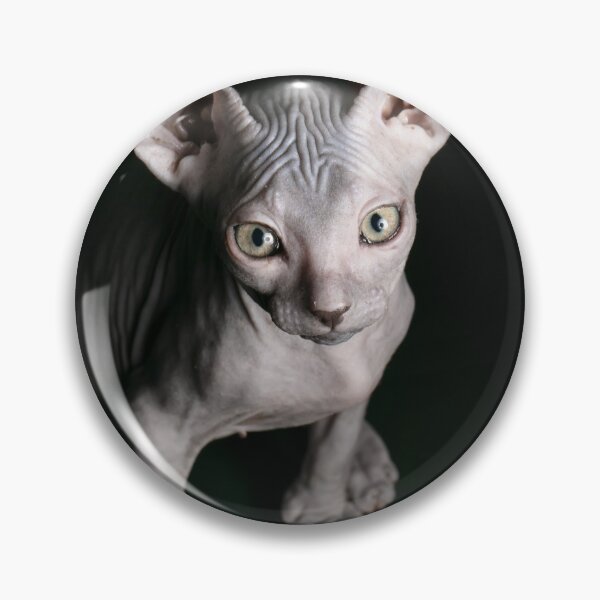 Item preview, black sphynx cat designed and sold by joshua pierre.