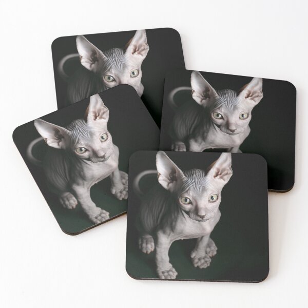 Item preview, black sphynx cat designed and sold by joshua pierre.